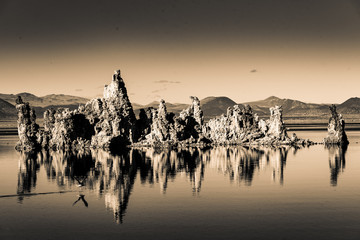 Spiegelung Mono Lake monochrom Sepia - obrazy, fototapety, plakaty