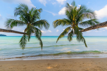 Naklejka na ściany i meble Palm trees, beautiful beaches on Koh Kood, Thailand