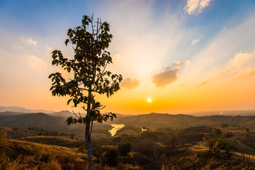 Obraz premium The sun and the colors of nature 56