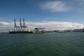 Seaside view of the container station of the harbour of Auckland 