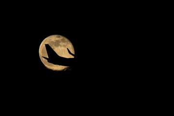 Aircraft passing the supermoon.