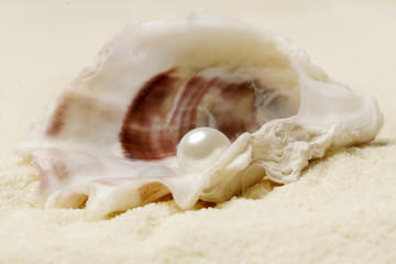 Organic pearl in a shell.