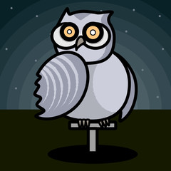 night owl, vector bird