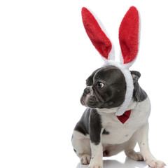french bulldog wearing a red bowtie and red rabbit ears