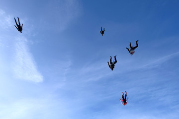Skydiving.  A flock of skydivers is flying in the sky.