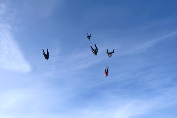 Skydiving.  A flock of skydivers is flying in the sky.