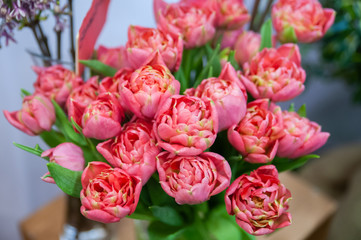 Fototapeta premium Bouquet of soft pink tulips. Ggreeting card for mothers day, 8 March Hello Spring