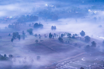 Fototapeta na wymiar City in the mist 1