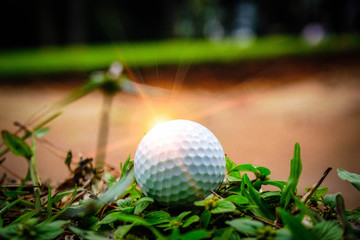 Golf ball on bunker in beautiful golf course at sunset background. Golf ball on green in golf course at Thailand
