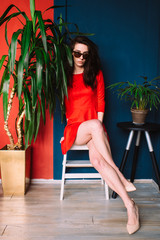 Obraz na płótnie Canvas Beautiful fashion slim girl with dark long hair, in red elegant dress and sunglasses posing on blue red wall in studio. Indor soft focus portrait of stylish brunette babe sitting between two plants.