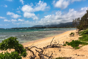 The coast along Malaekahana Beach, North Shore Oahu, Hawaii