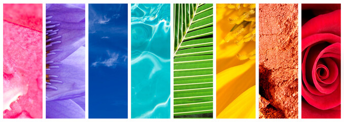 Natural rainbow gradation panoramic collage, rainbow colors in nature concept