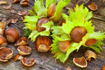 hazelnuts photo illustration