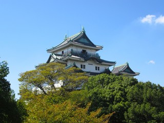 Fototapeta premium 若山城