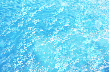 Natural pattern of the leaves of plants and sea water.  Art stylization - Image