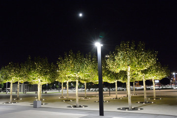 Krasnodar, Russia, night city, stadium, park, trees, moon, moonlight, people, light, water, fountains, sky, city, night, water, sky, skyline, park, reflection, architecture, lake, urban, pond, citysca