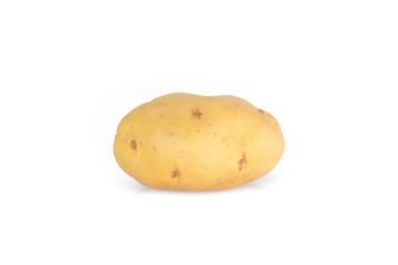 potato on white background