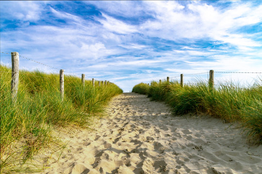 Sanddune
