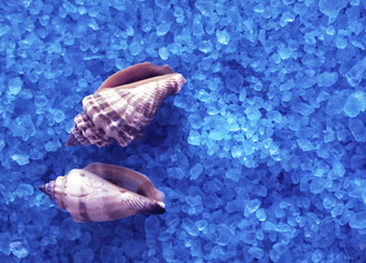 handmade soap and seashells on the background of sea salt