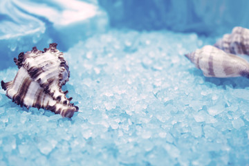 handmade soap and seashells on the background of sea salt