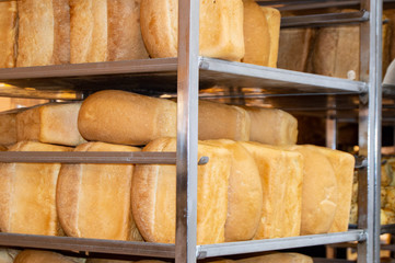 The ranks of the hot crispy bread loaves lying on a shelf in a supermarket, a bakery, a background...