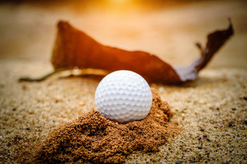 Golf ball on sand bunker in beautiful golf course at sunset background. Golf ball on green in golf course at Thailand