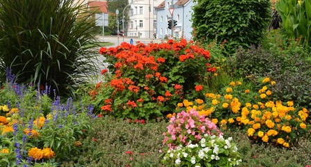Fototapeta na wymiar Bunte Blumenbeete in der Stadt