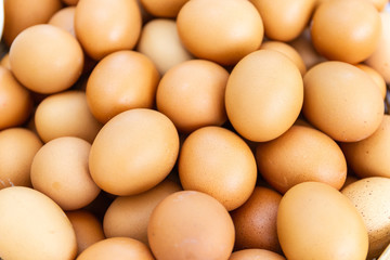 Close up Many eggs are ingredients for cooking.
