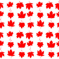 red leaves maple on white background.vector pattern