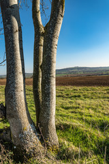 English Countryside , Warwickshire,UK