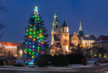 Fototapeta na wymiar Krakow, Poland, Wawel cathedral and Christmas tree, winter night