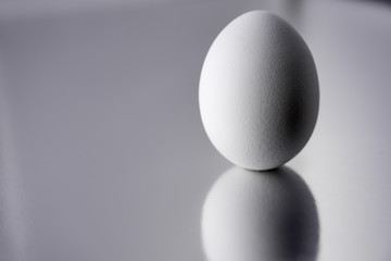  White egg with silver reflective background. Easter concept. Copy space.