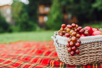Fototapeta na wymiar red grape in basket and garden secateurs