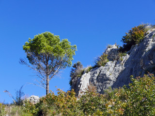 scena rupestre in una giornata limpida