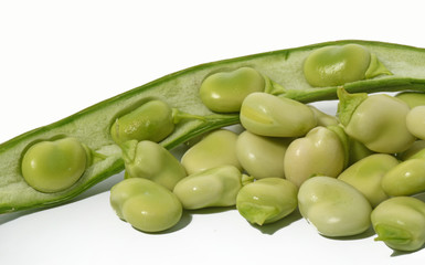  studio photo of an open bean pod