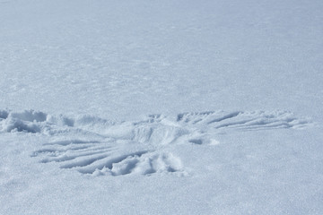 Snow angel