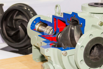 Close up detail inside centrifugal pump for industrial