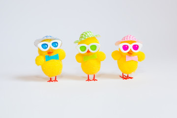 Easter decoration with three funny yellow chicks isolated on white background. Easter holiday concept.