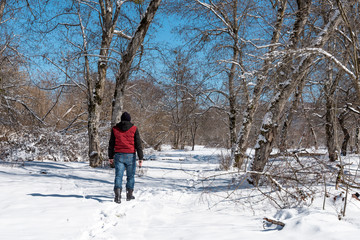 Lonely man walking on the snow in the winter forest