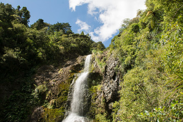 Fototapeta na wymiar Kitekite falls near Piha beach at the east coast of Auckland, New Zealand