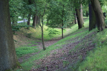 Fototapeta premium Wallanlage