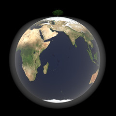 Dust around the world except where there are trees,Elements of this image furnished by NASA,3D rendering
