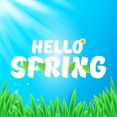 vector hello spring banner with green grass, sky and flowers. hello spring flyer, banner or background with green field landscape