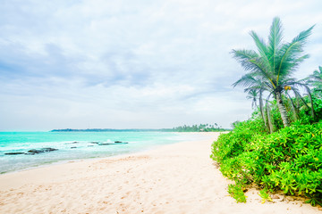 Tropical beach next of Tangalle - Sri Lanka