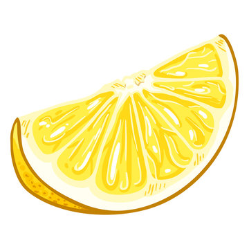 Vector Cartoon Yellow Lemon Slice