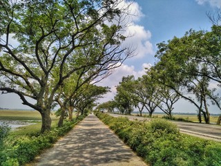path in the park