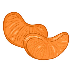 Vector Cartoon Tangerine without Peel. Mandarin Slices