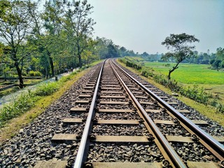 railway in the forest