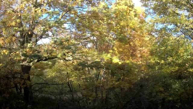 Beautiful fall color around country side of Iserlohn