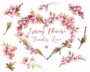 Spring Flowers Watercolor. Tender Blush Heart. Floral Heart on transperent background. Pink Wreath